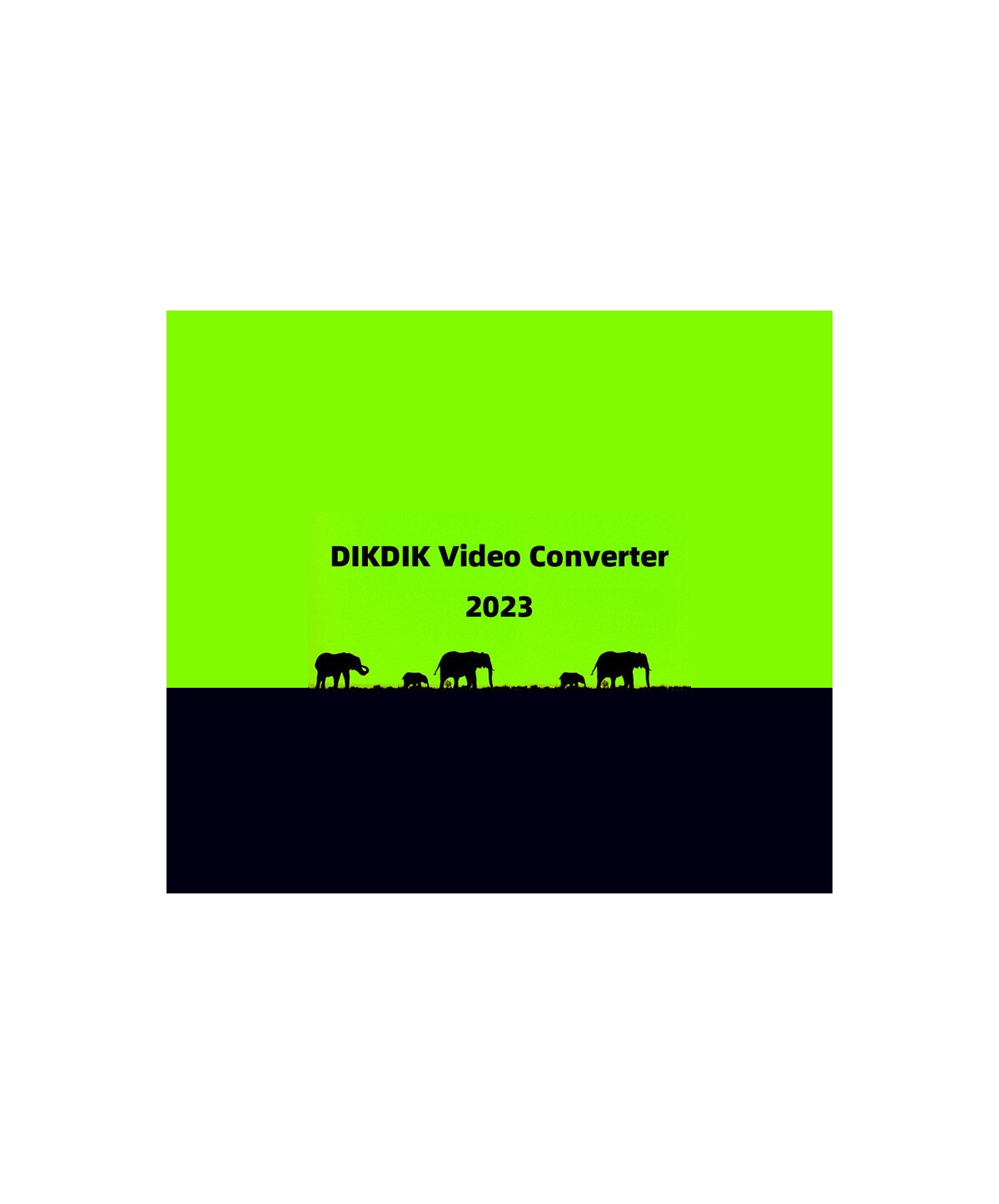 DIKDIK Video Converter Steam Key GLOBAL